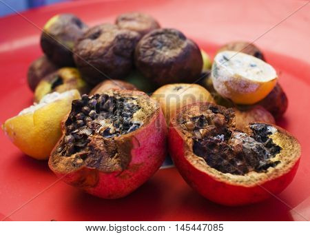 Lots of roten fruits. Apples, lemon, garnet molden dark and dried up. Environment conversion concept close up