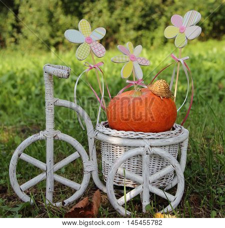 bicycle white and pumpkin in a garden with flowers