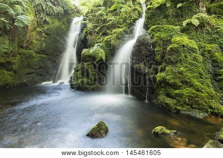 An image of a beautiful woodland waterfall shot with a slow shutter speed to give a milky effect of the water, Venford Brook Devon England UK