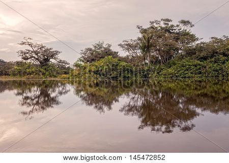 View Over The Cuyabeno River National Park Cuyabeno Ecuador South America