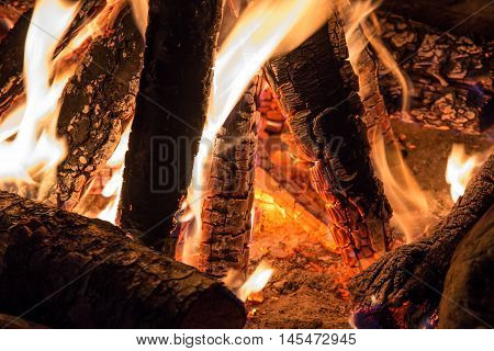 Photo of Camp fire in the sunner night