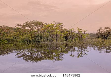 Cloudy Sky Reflections Of Trees In The Water In Cuyabeno Wildlife Reserve South America
