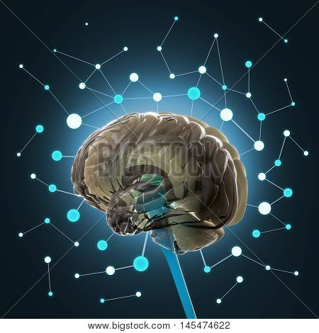 Huma brain isolated. Brain power, colorful creative thoughts. 3D illustration.