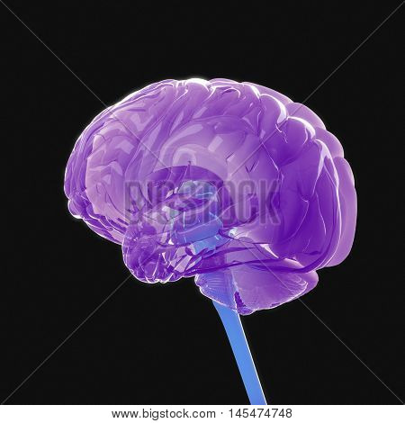 Huma brain isolated. Brain power, colorful creative thoughts. 3D illustration.