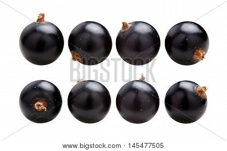 Black currants. Ripe juicy berries of black currant isolated on white background