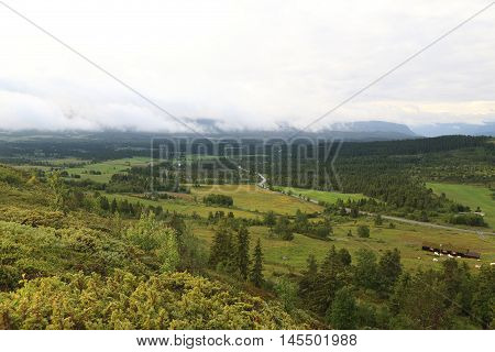 This is morning in the upland area of the province of Buskerud in Norway.