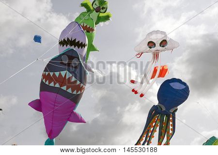 LAKOLK DENMARK - SEPTEMBER 3 2016: Colorful kites on the big beach on Lakolk Romo. International Kite Festival for the 27th time. September 3 2016.