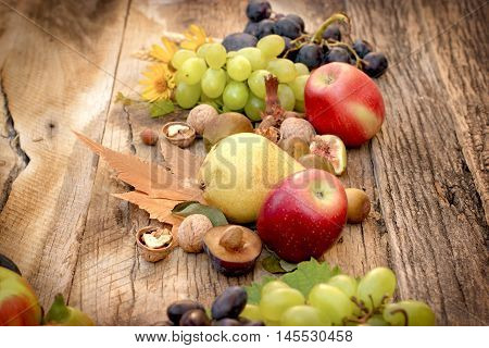 Eating healthy organic seosanal fruits - autumn fruit