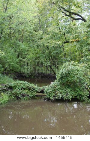 Olmo Creek7