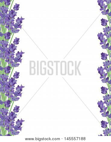 The background for the text label of the packaging the card with lavender flowers.