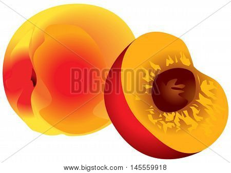 vector clipart of sliced peach with stone