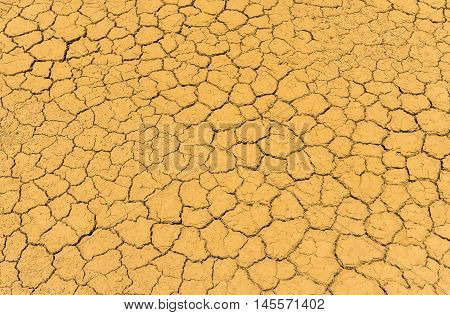 Land dry is crack with brown shade