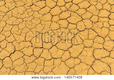 Land dry is cracking in brown shade