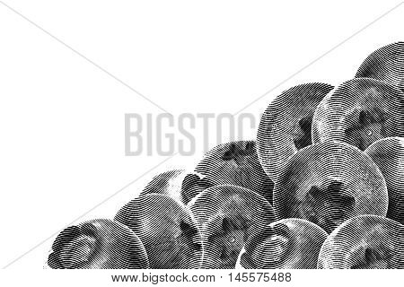 Many juicy and fresh blueberries on white background. Blue color blueberries close-up. Image of blueberries with high resolution. Drawing sketch painting blueberry