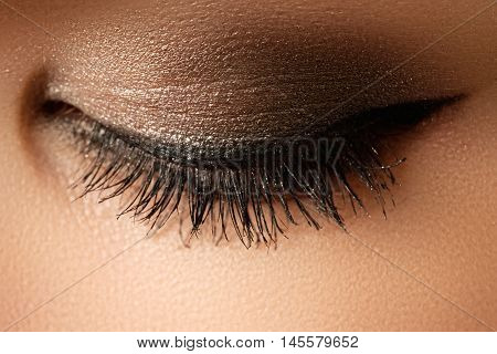 Eye Makeup. Beautiful Eyes Retro Style Make-up. Holiday Makeup D