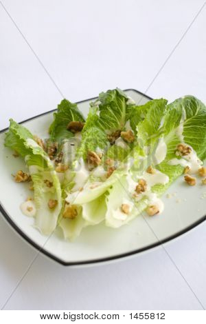 Romaine_Ranch030207440