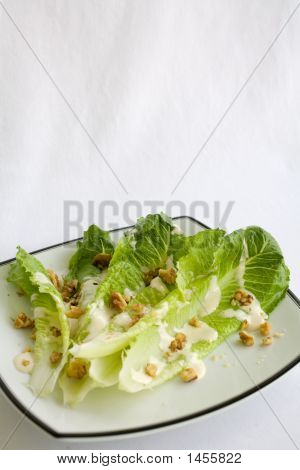 Romaine_Ranch030207441