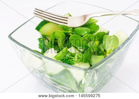 Salad with Cucumber, Purslaneon White Background  Studio Photo