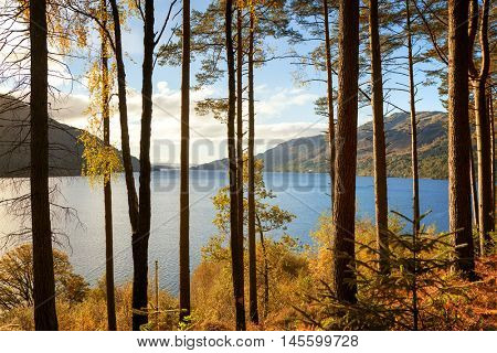 Autumn on the banks of Loch Lomand, Scotland