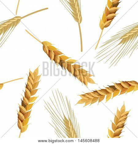 Seamless pattern wheat and rye ears. Vector illustration EPS 10