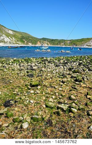 LULWORTH COVE, UNITED KINGDOM - JULY 19, 2016 - View of the cove with the rocky shoreline in the foreground Lulworth Cove Dorset England UK Western Europe, July 19, 201.