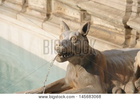 Photo Of Siena In Italy In Tuscany