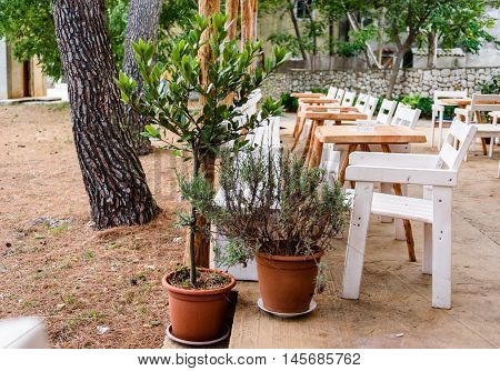 Caffe bar or restaurant with white chairs and tables. Nice place to eat or drink in nature with green trees and leafs.