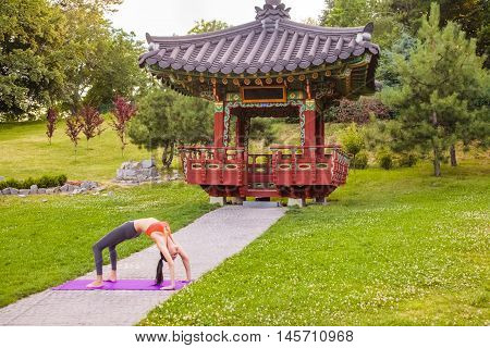Young Woman Practicing Yoga In The Park.