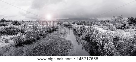 panorama view of crack earth and dry water among mangrove forest with sky rainny clouds float on top of big and long mountain in backgroundwater crisisglobal warming conceptfiltered imageblack and white infared imageflare effect added