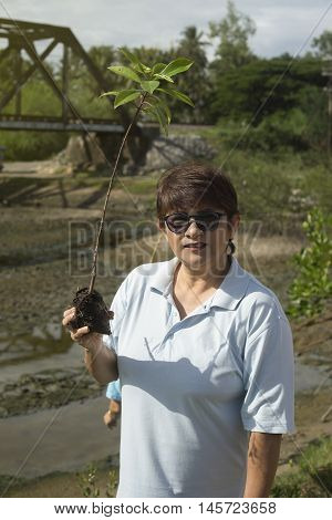 mature woman holding a young mangrove tree on a hand,filterd image,selective focus