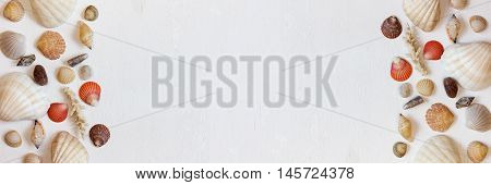 Banner with shells and corals on white background. Frame with seashells on white. Vacation concept. Flat lay. The top view.
