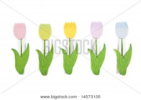 Tulipano panno Pins
