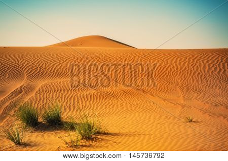Dunes background.Arid desolate landscape.Sahara sunset.Footprints in the sand.Structure of waves in the sand.Dunes in the desert.Adventure trip to desert nature.
