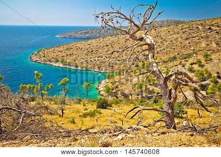 Island of Brac south coast landscape burned by fire Dalmatia Croatia
