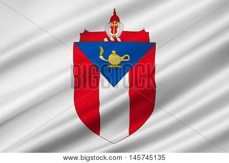 Flag of Austin is the capital of Texas United States. 3D illustration