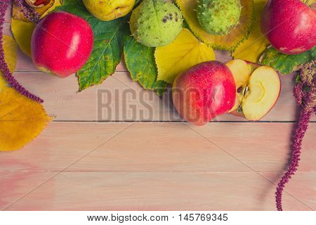 Autumn background-apples and chestnuts on golden leaves