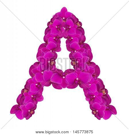 Letters made of pink flowers. A letter - flower alphabet