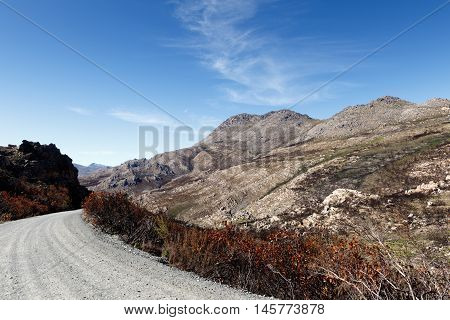 Life - Swartberg Nature Reserve