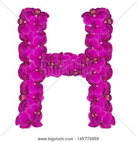 Letters made of pink flowers. H letter - flower alphabet