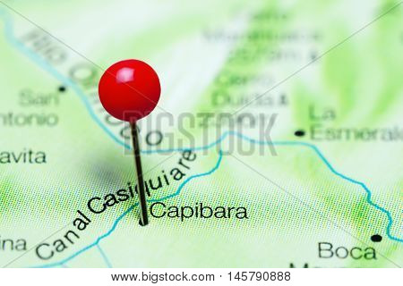 Capibara pinned on a map of Venezuela