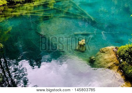 A view on Blausee, a clear lake in Switzerland