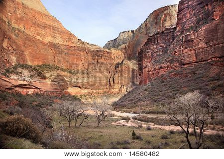 Red orange Canyon Wände Tal Virgin River Zion Nationalpark utah