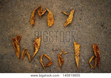 The word world is lined with fallen leaves on the pavement