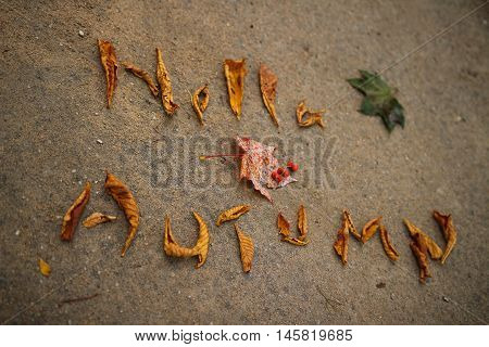 Word hello autumn lined with fallen leaves on the pavement