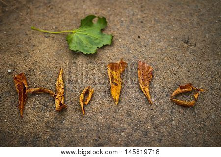 The word hello is lined with fallen leaves on the pavement