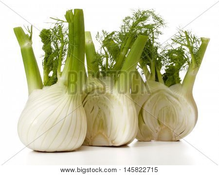 Fresh fennel bulb isolated on white background close up