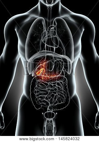 3D Illustration Of Male Gallbladder.