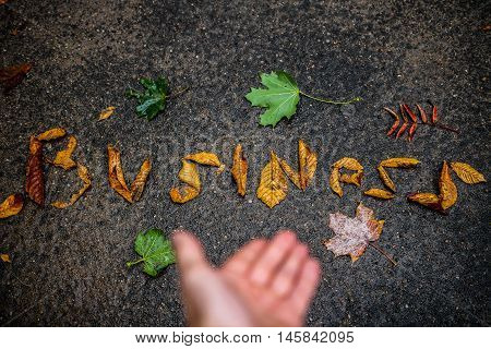 Word business lined with fallen leaves on wet asphalt