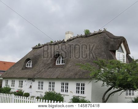 Traditional Thatched House