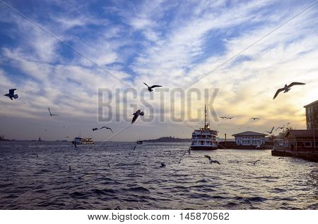 Istanbul Turkey. Sea of Marmara the Bosphorus in the evening. sunset seagulls and people. Istanbul Besiktas pier appears.